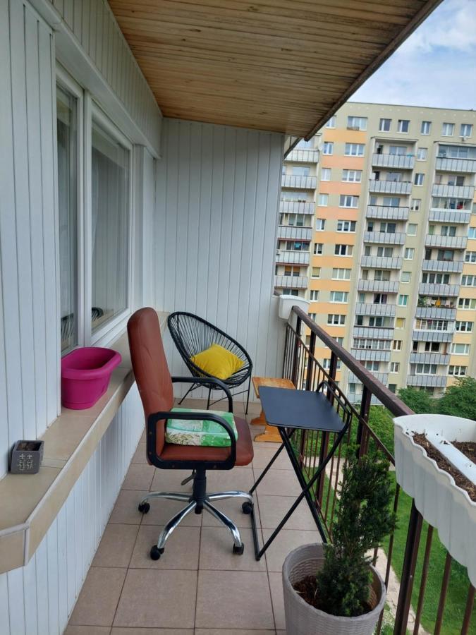 Alterra Apartment,13 Legionowa Street, Flat, Mieszkanie 41 比亚韦斯托克 外观 照片