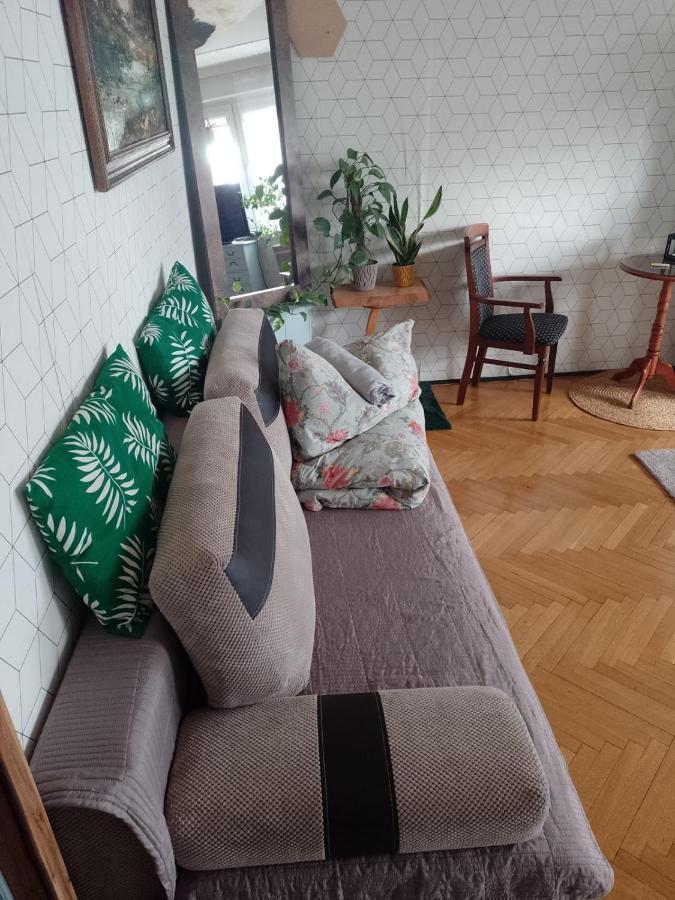 Alterra Apartment,13 Legionowa Street, Flat, Mieszkanie 41 比亚韦斯托克 外观 照片